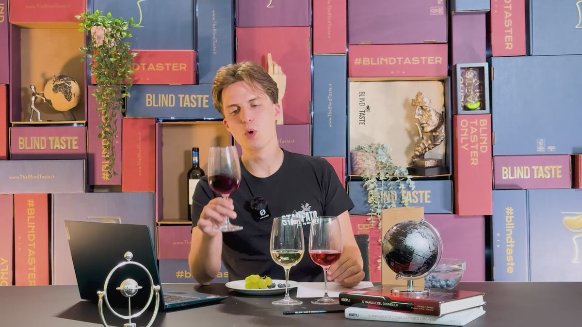 Videoguida BlindTaste (+ BlindBox Expert)